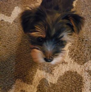 Meet your Posher, Kim